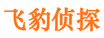 兴宁侦探公司